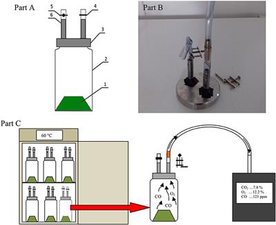 The Biotic and Abiotic Carbon Monoxide Formation During Aerobic Co-digestion of Dairy Cattle Manure With Green Waste and Sawdust